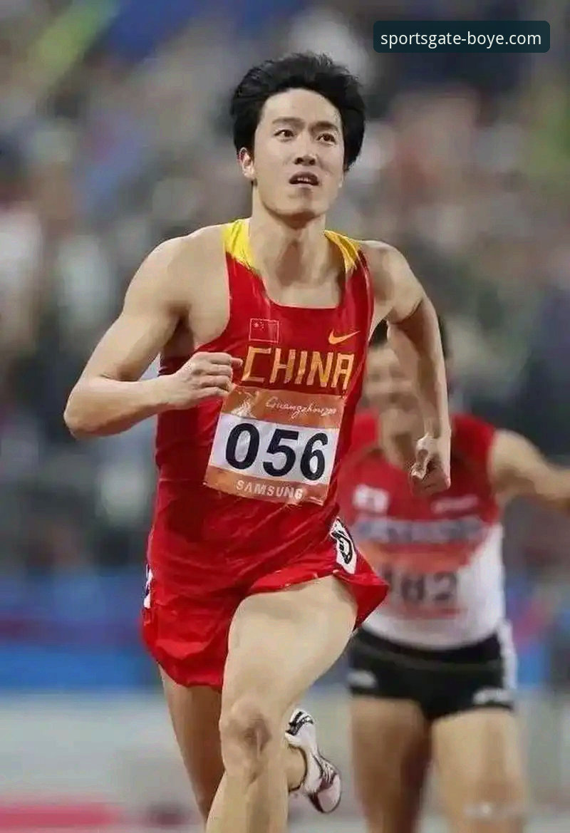 昔日“金元足球”的辉煌与今日的审判：一场关于体育资本与风险的行业反思